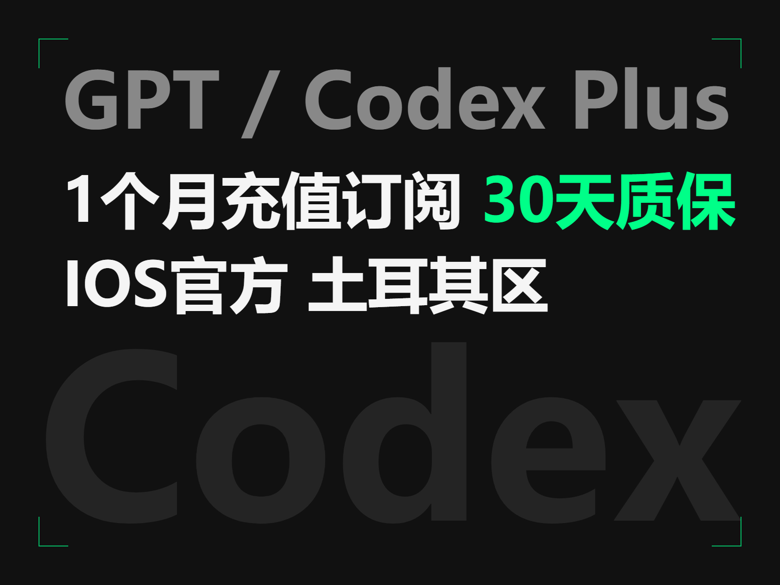 ChatGPT / Codex Plus 会员订阅
