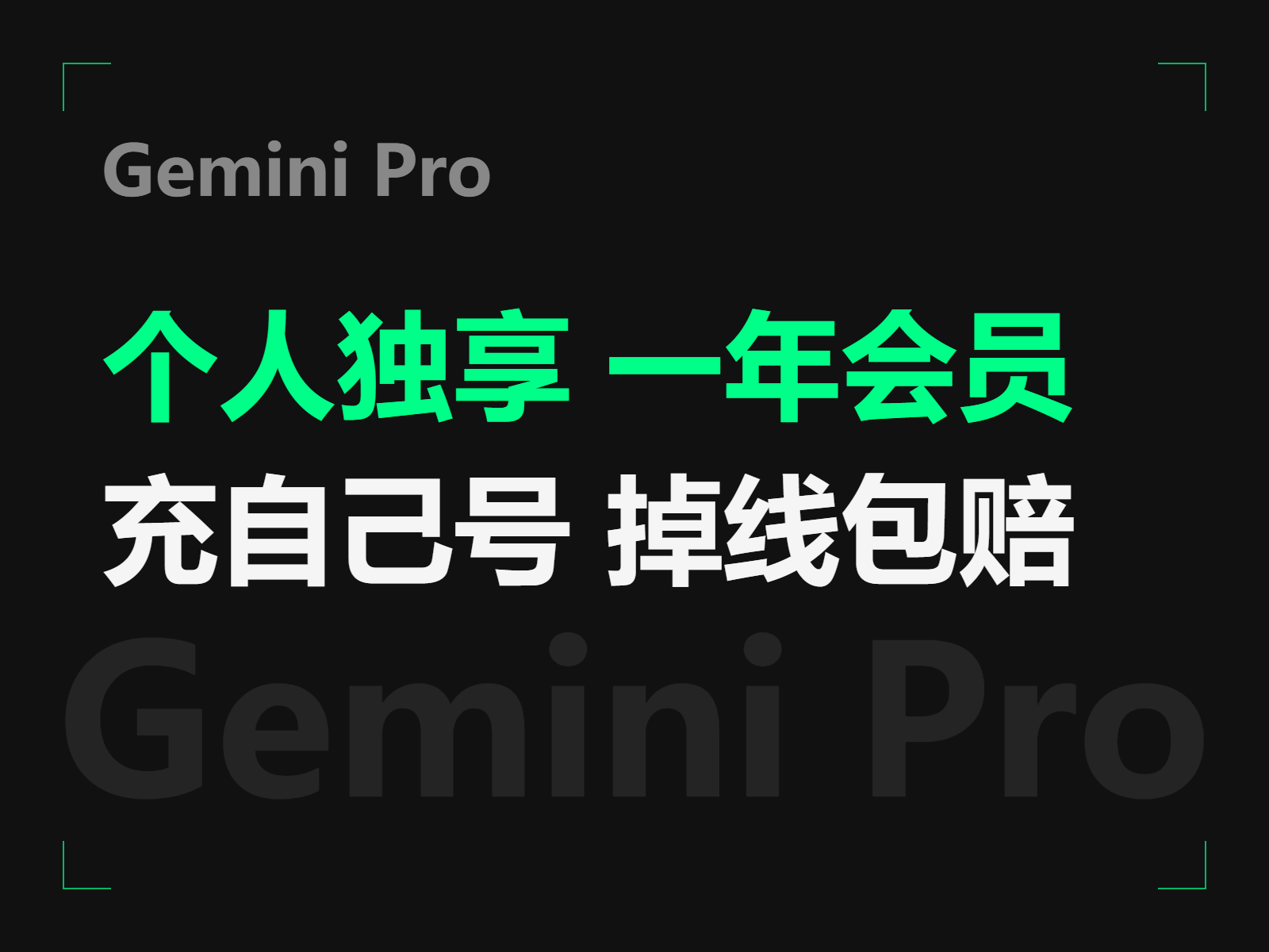 Gemini Pro 一年会员
